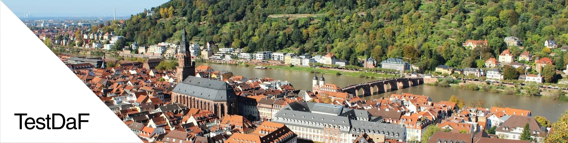 Heidelberg - DaF Testi 