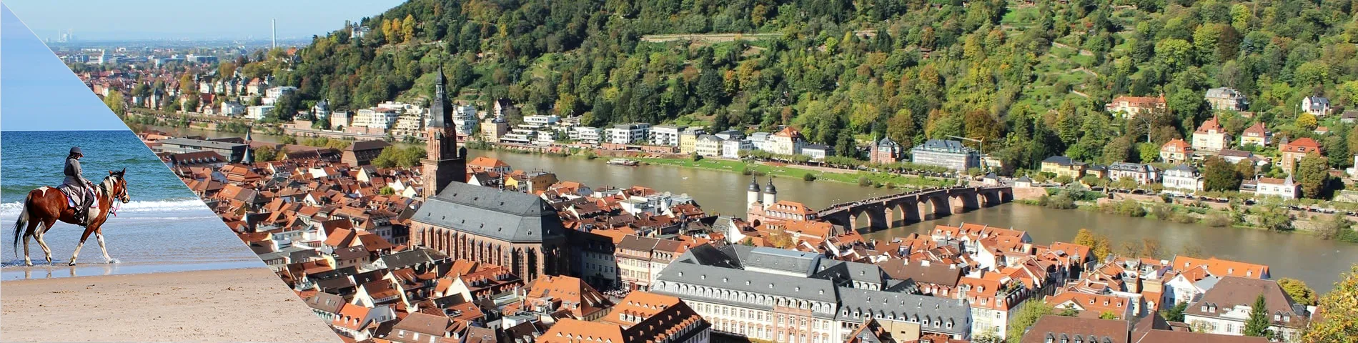 Heidelberg - Nemčina a jazda na koni