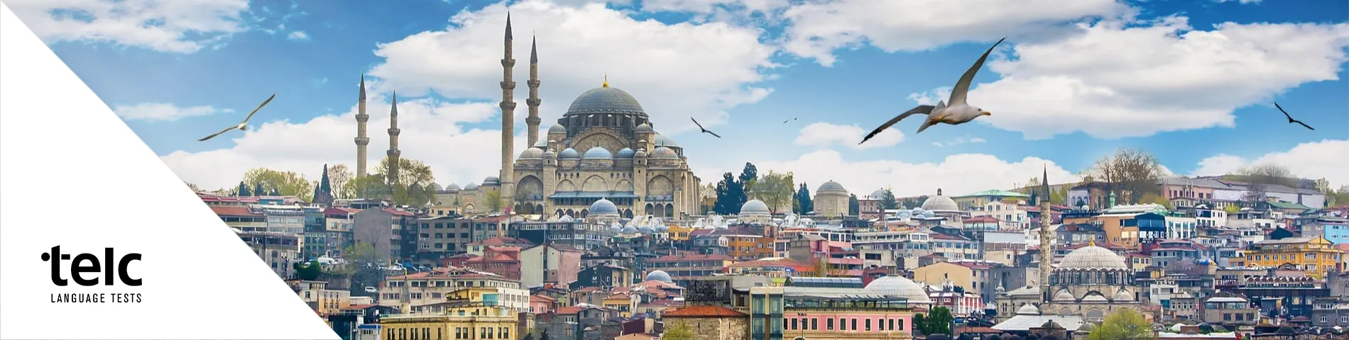 伊斯坦布尔 - 欧洲语言证书（TELC）