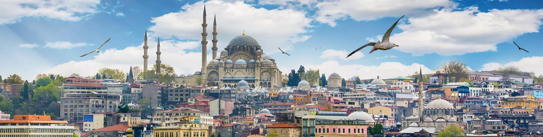Стамбул - Общий курс