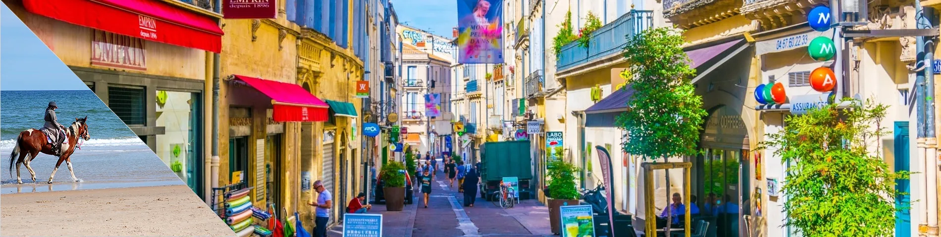 Montpellier - Francuski & Jazda Konna