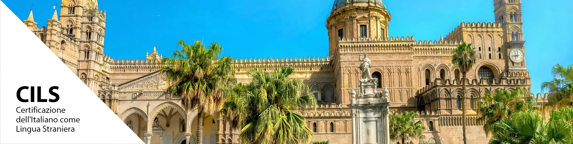 Palermo (Sicily) - CILS