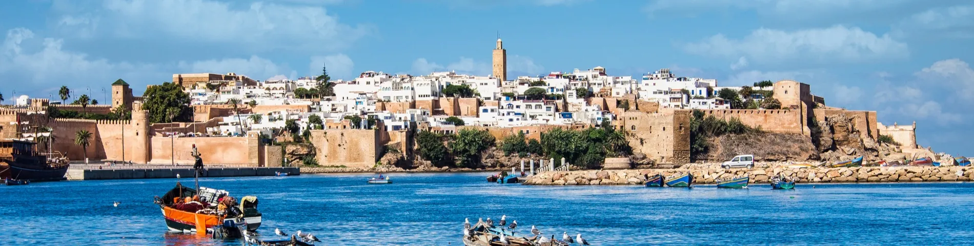 Rabat - Standardowy