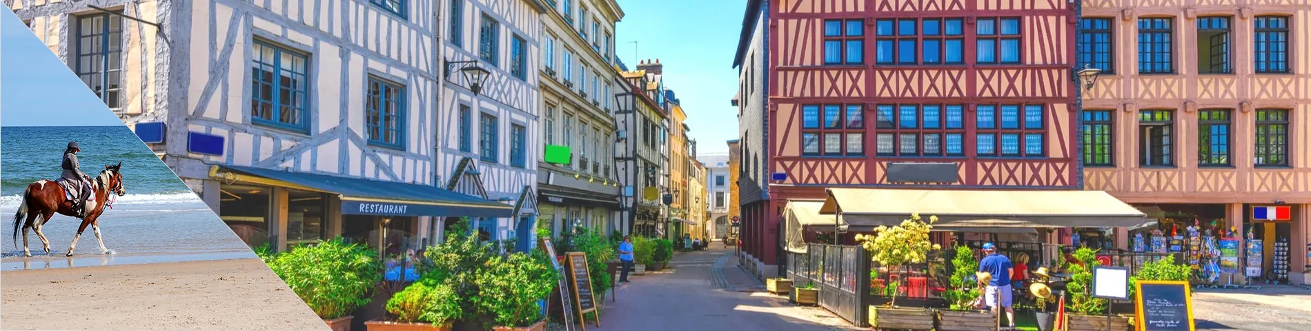 Rouen - Fransızca & Binicilik