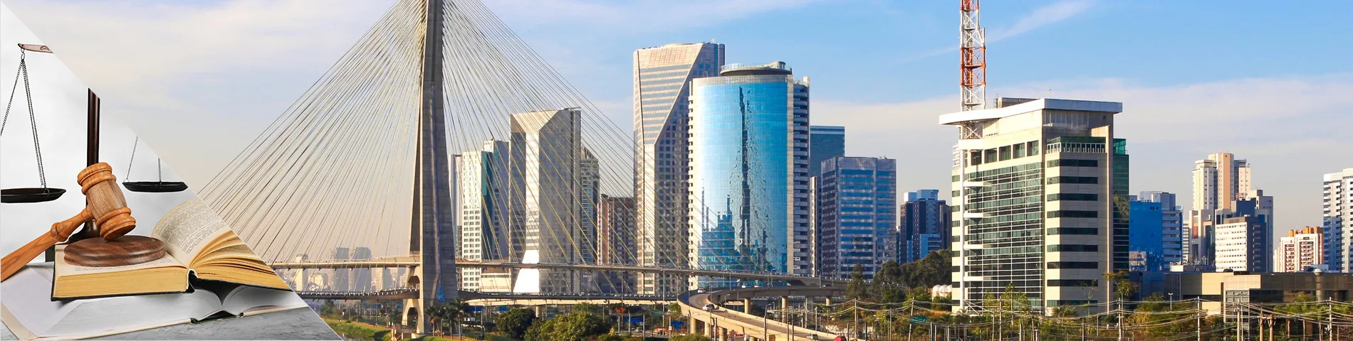 Sao Paulo - Portugués para Abogados