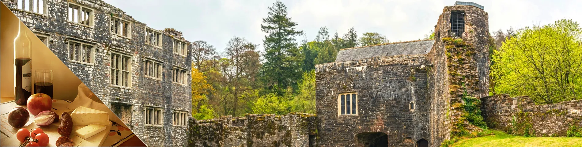 토트네스 - 영어와 문화