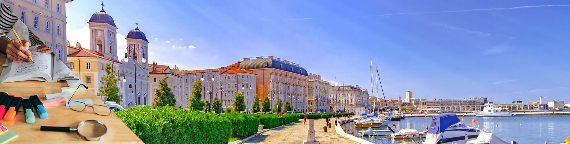Trieste - Preparazione Universitaria / Pathway
