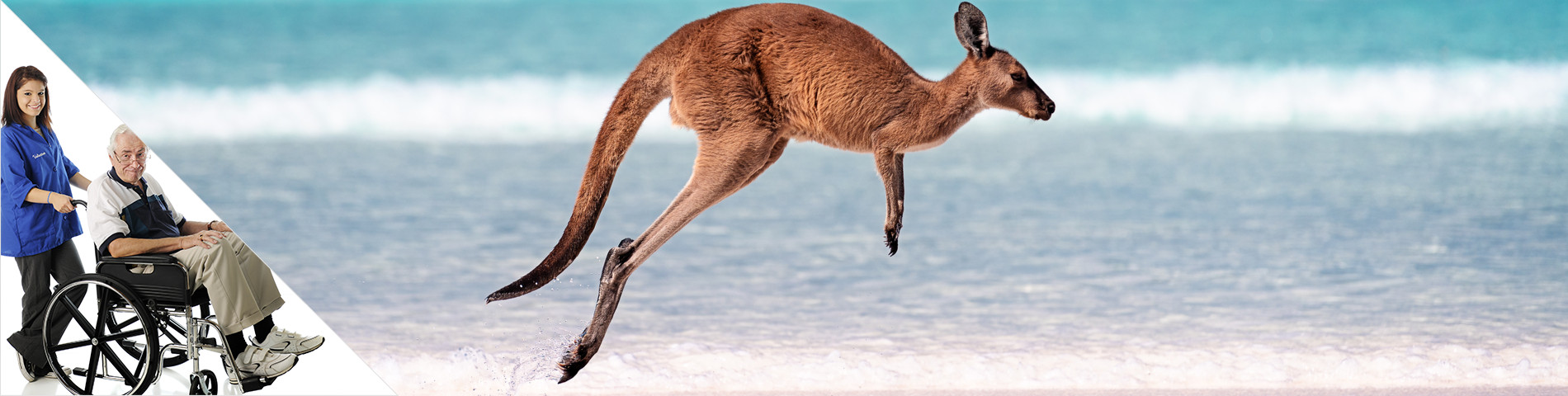 Australia - Inglés + Voluntariado