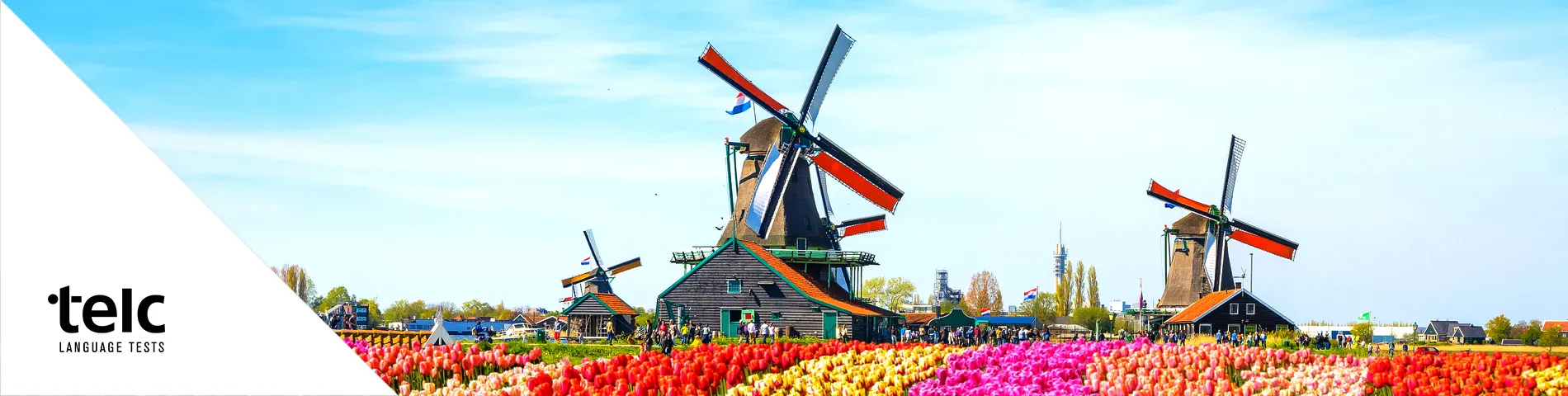 Paesi Bassi - 
