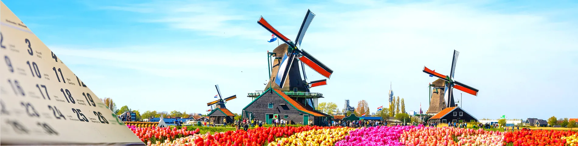 Paesi Bassi - Olandese annuale 