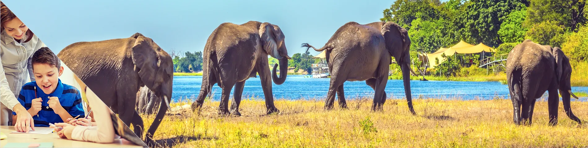 Sydafrika - engelsk for lærertræning