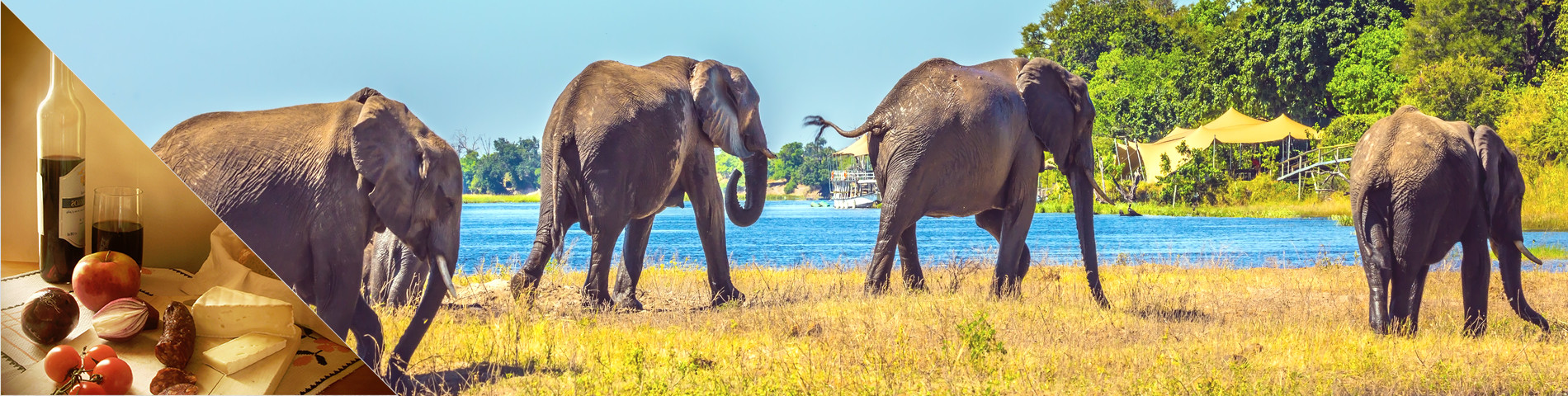 Afrique du Sud - Anglais & Culture