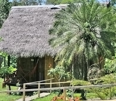 Ailola Spanish School, 亚马逊丛林