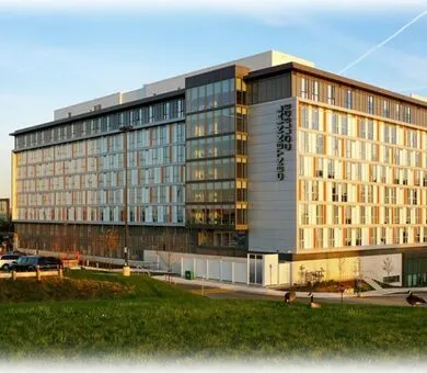 Anglo, Toronto Anglo, Toronto