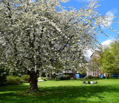 Centre of English Studies (CES) - Summer Centre, Edinburgh