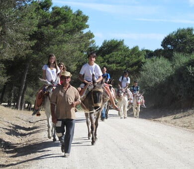 Colegio de Español La Janda, Vejer de la Frontera