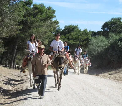 Colegio de Español La Janda, Vejer de la Frontera