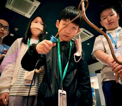 Direct English International Language Centre, 쿠알라룸푸르