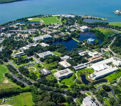 ELS, 佛罗里达州圣彼得斯堡 ELS, 佛罗里达州圣彼得斯堡