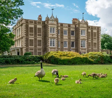 Emerald Cultural Institute Junior Centre - Rose Bruford College, London Emerald Cultural Institute Junior Centre - Rose Bruford College, London