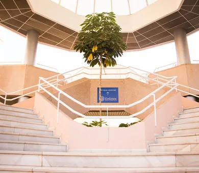 Enforex International Summer Centre - Centro, Marbella
