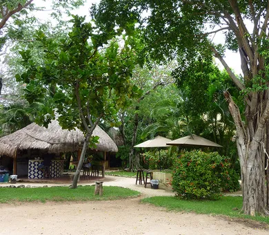 Enforex, Playa del Carmen Enforex, Playa del Carmen