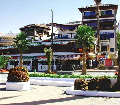 Enforex, Puerto de la Cruz, Teneriffa Enforex, Puerto de la Cruz, Teneriffa