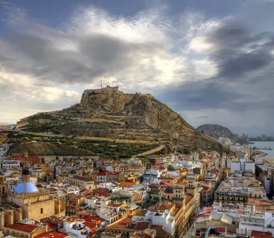 Influent, Alicante Influent, Alicante