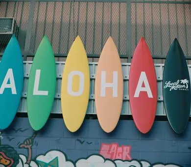 Influent, 檀香山 Influent, 檀香山