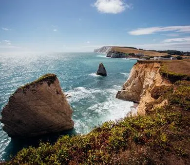 Influent, Isle of Wight