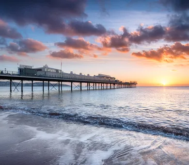 Influent, Paignton Influent, Paignton