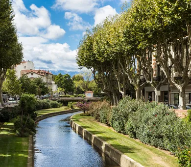 Influent, Perpignan