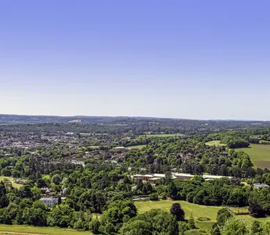 Influent, Surrey Influent, Surrey