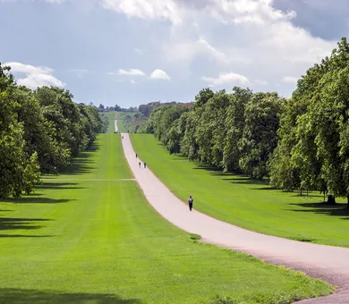 Influent, Windsor Influent, Windsor