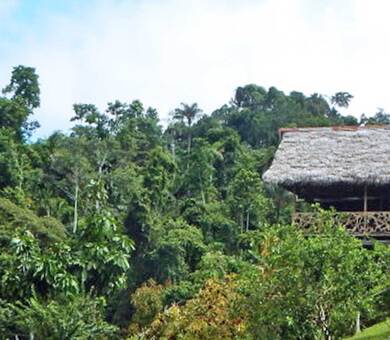 Instituto Superior de Español, Amazon dzsungel