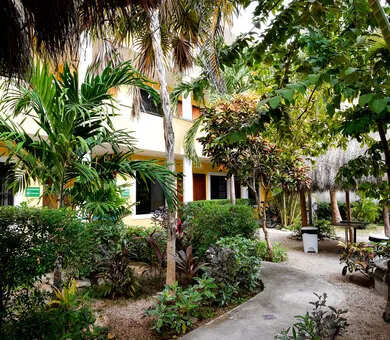 International House - Riviera Maya, Playa del Carmen International House - Riviera Maya, Playa del Carmen