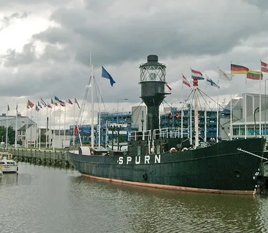 InTuition Languages, Hull