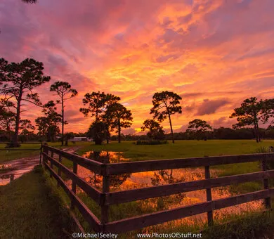 InTuition Languages, Melbourne FL