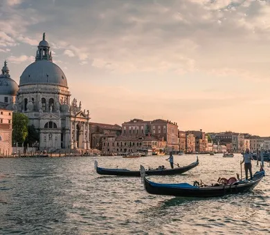 InTuition Languages, 베니스