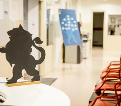 Lyon Bleu International, ليون