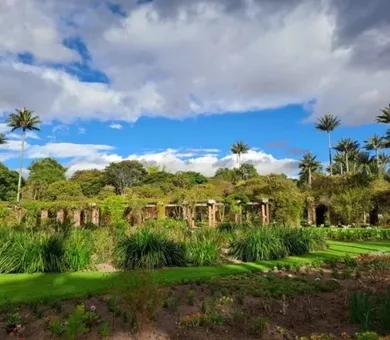 Nueva Lengua, Bogota Nueva Lengua, Bogota