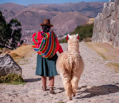 Peru Volunteer and Travel, كوزكو