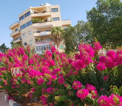 PLATO Educational Services, Limassol