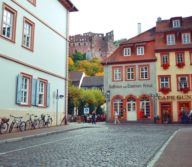 Study & Live in your Teacher's Home, Heidelberg