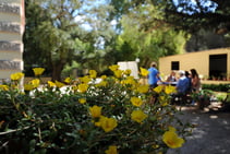 فيلا تيريزا ريزيدنس - الموسم المنخفض الكثافة, ABC Elba - Centro di Lingua & Cultura Italiana, جزيرة إلبا