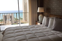 Exempelbild av bostadskategorin som Institute of Intensive English anordnar.