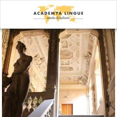 Academya Lingue, 博洛尼亚