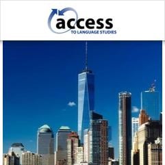 Access to Language Studies, Нью-Йорк