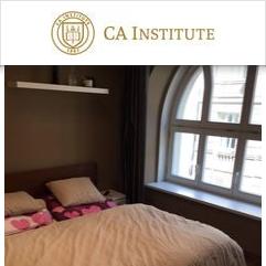 CA Institute