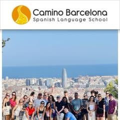 Camino Spanish School
